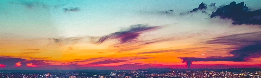 随县茶虫网_随县品茶